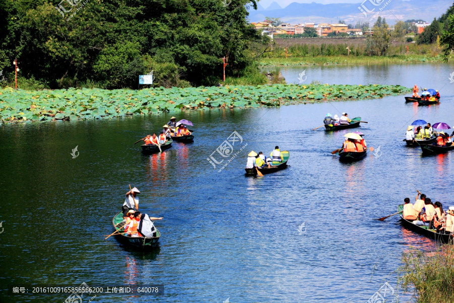 水乡,湖泊风景