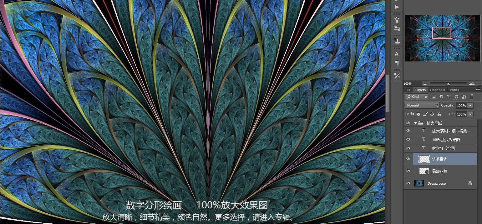 花紋圖案