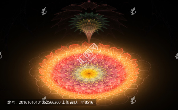花朵