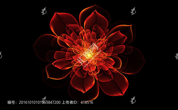 花朵
