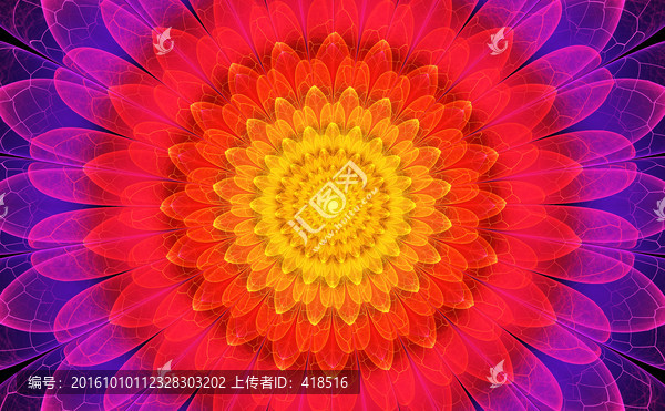 花朵