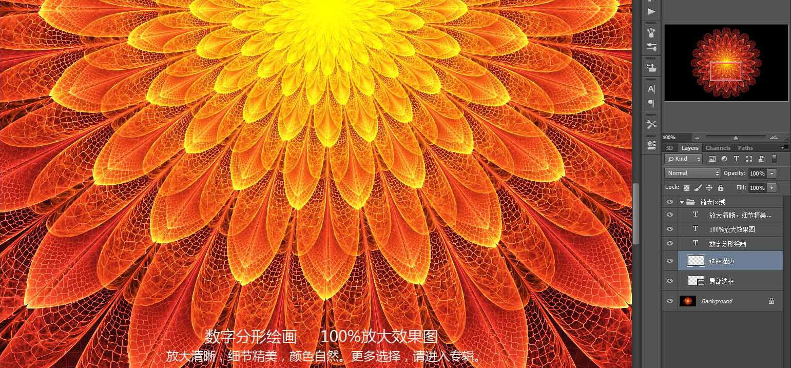 花朵