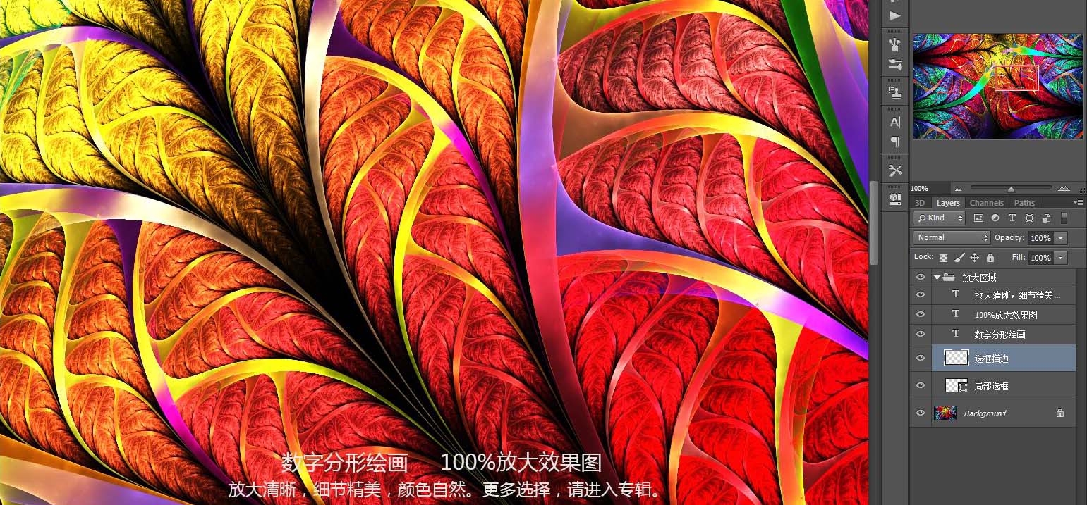花紋圖案