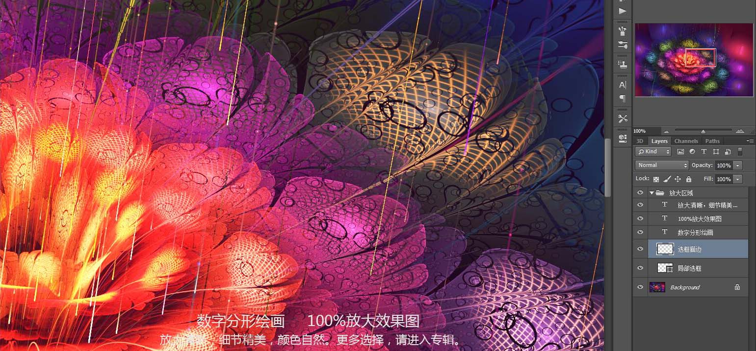 花朵