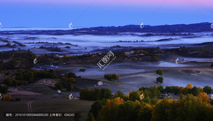 壩上,秋景,白樺樹,白樺林