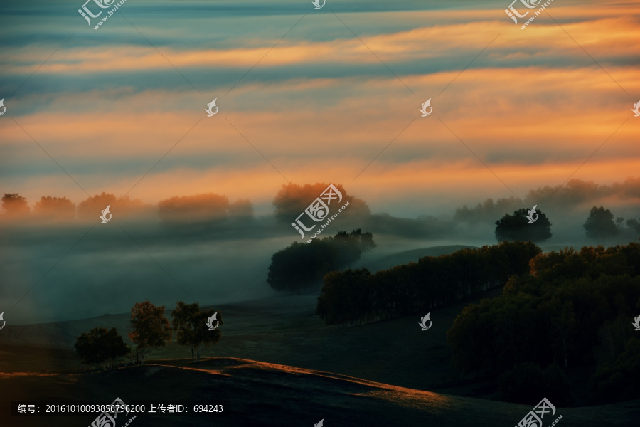 壩上,秋景,白樺樹,白樺林