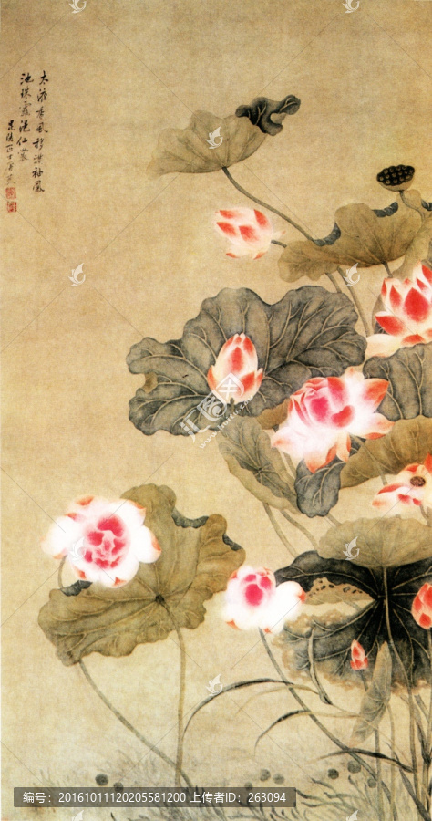 唐艾,荷花圖