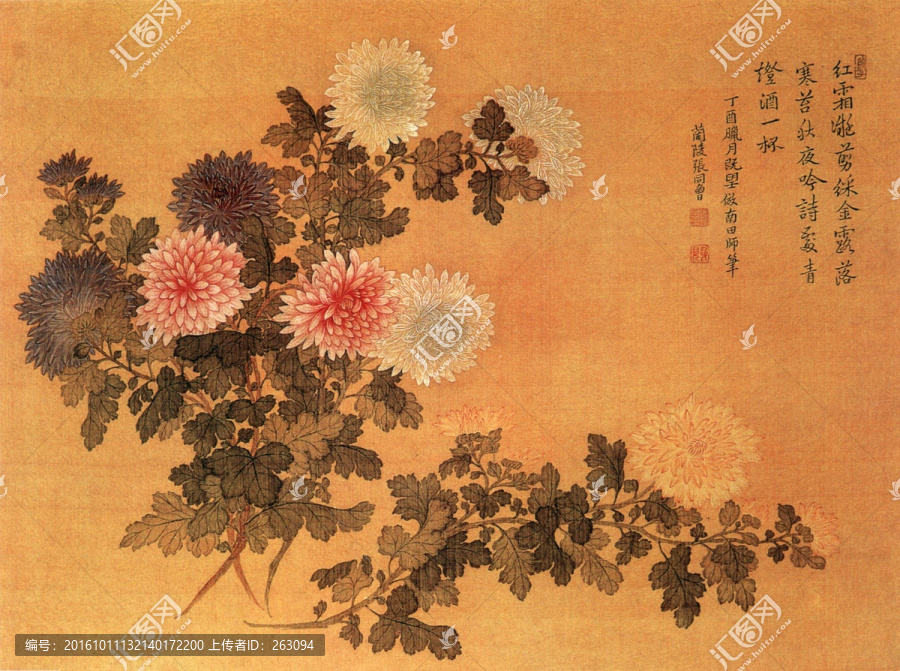 張同曾,菊花圖