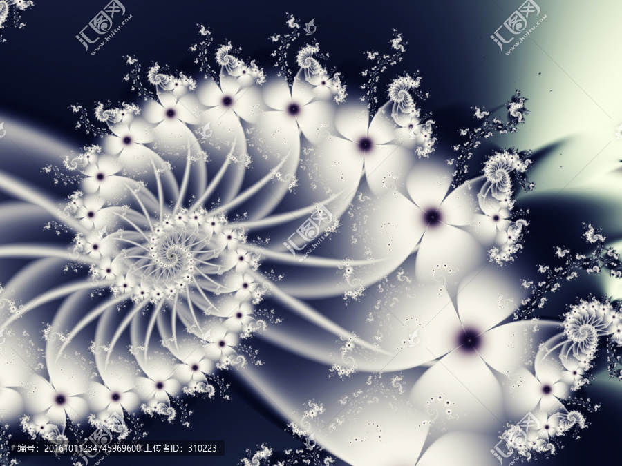 分形花卉