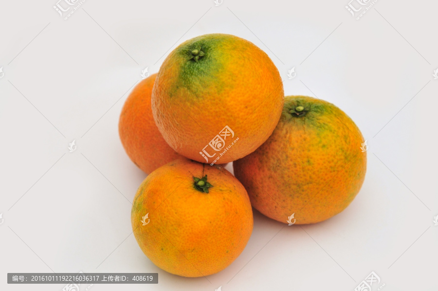 爱媛38号柑橘