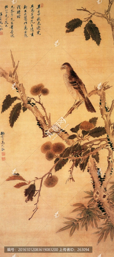 馬元馭,鷹栗圖