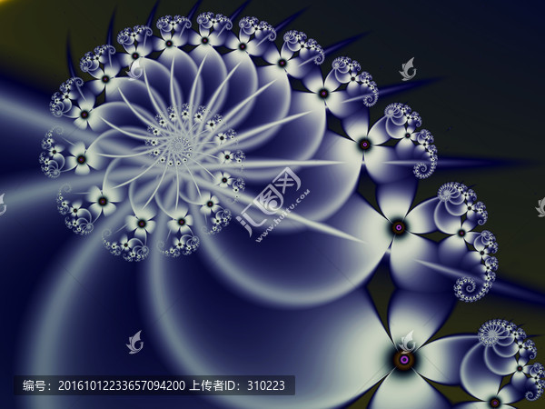 數碼印花花卉