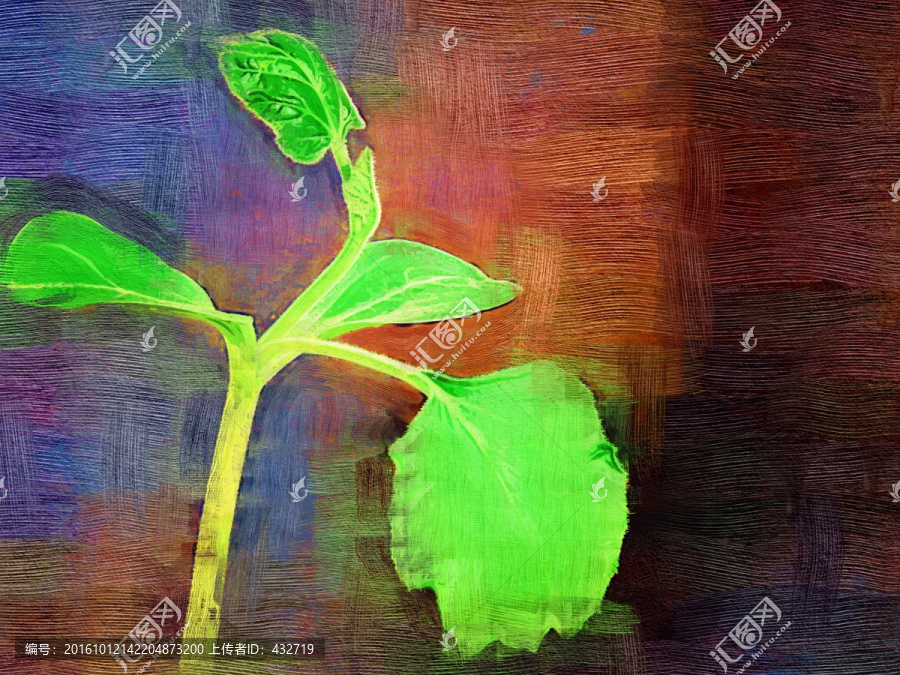 裝飾畫,發(fā)芽