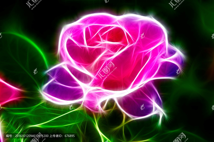 唯美的月季花
