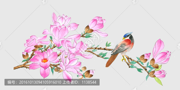 高清手繪玉蘭花