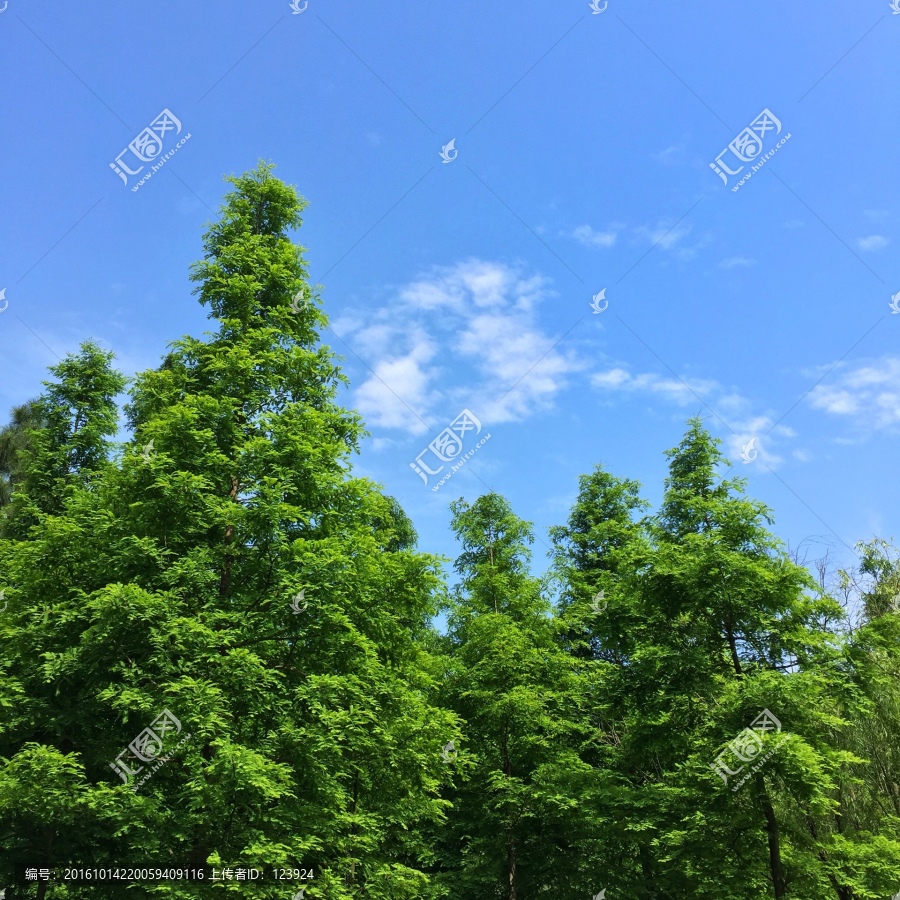 美丽风景