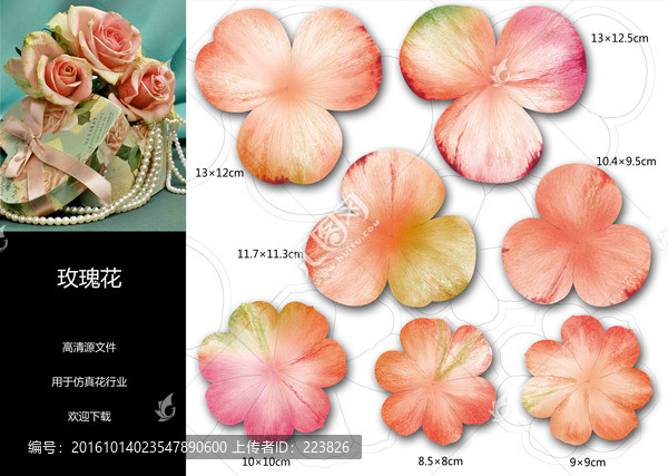 玫瑰花
