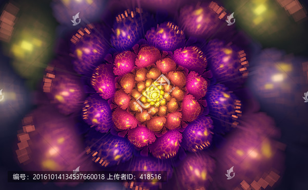 花朵