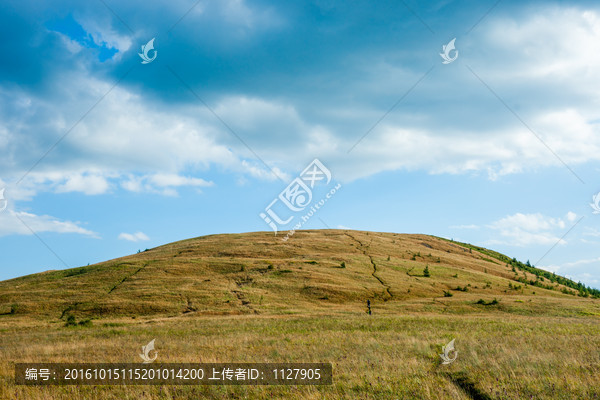 高山草甸