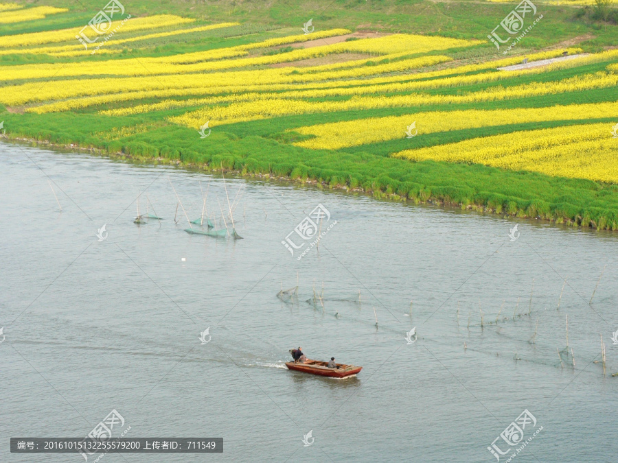 淮河,小船,油菜花