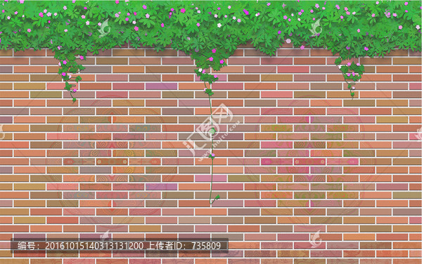 墻上花藤