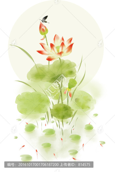 中國風(fēng)荷花