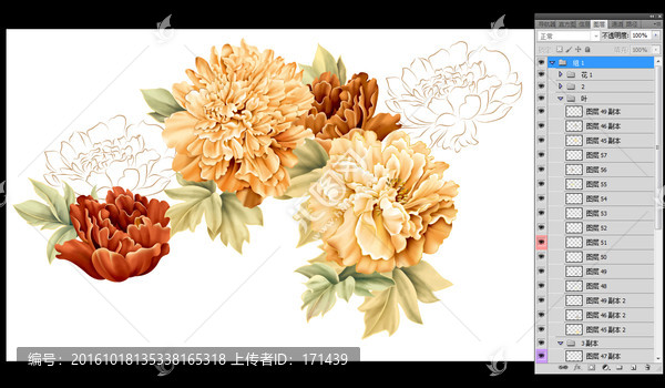 牡丹花,大花,內(nèi)有分層圖