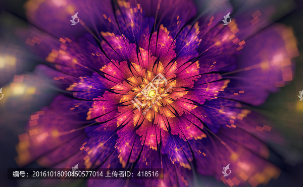 花朵
