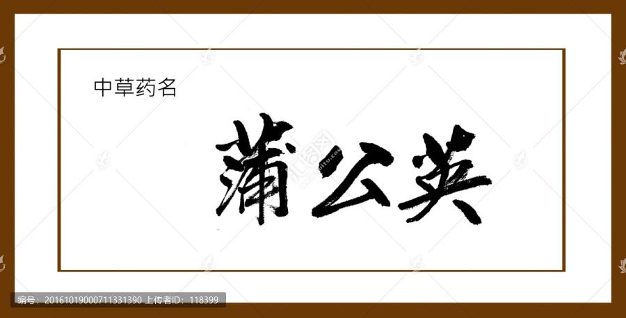 蒲公英