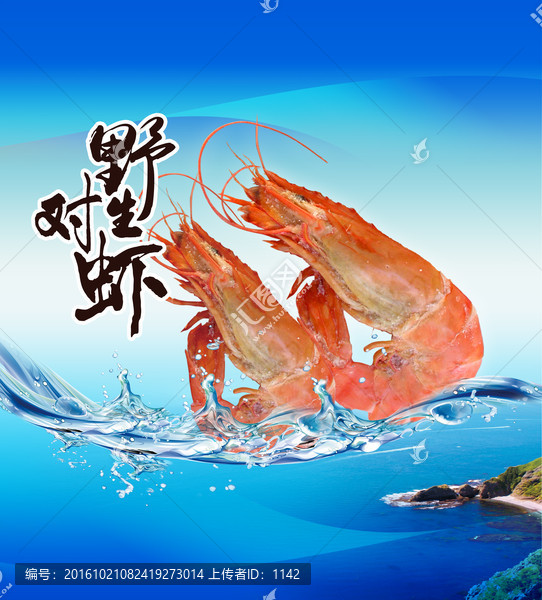 野生對(duì)蝦