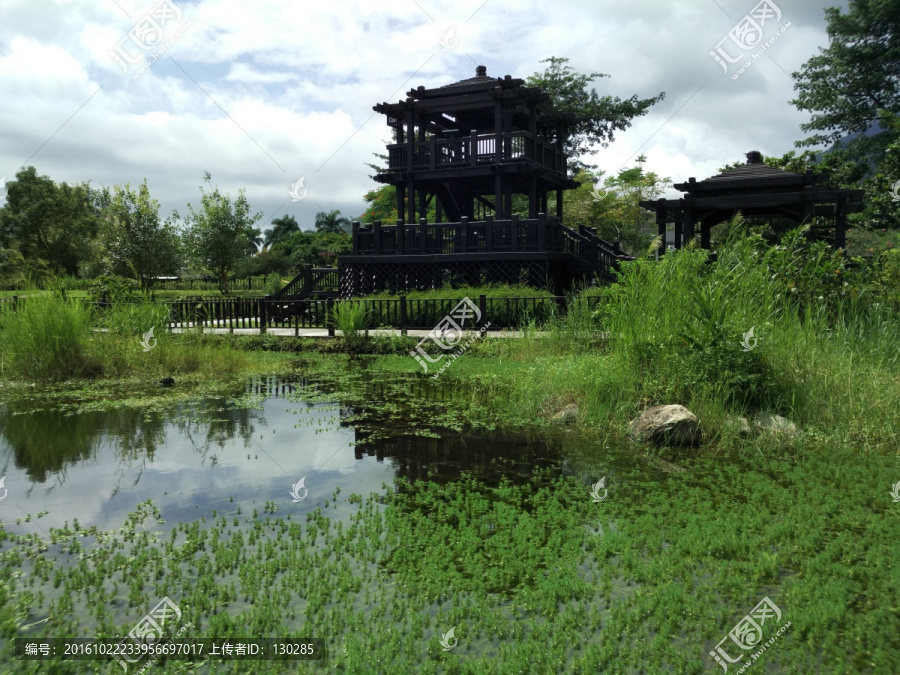 沼泽池塘与木构建筑