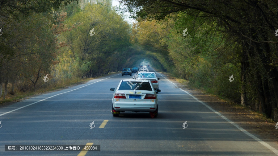 路上的风景