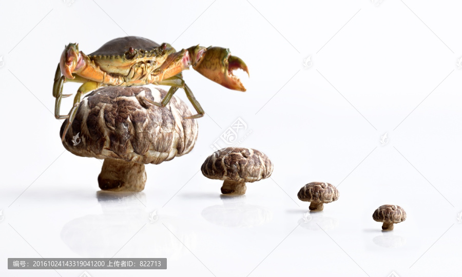 香菇螃蟹