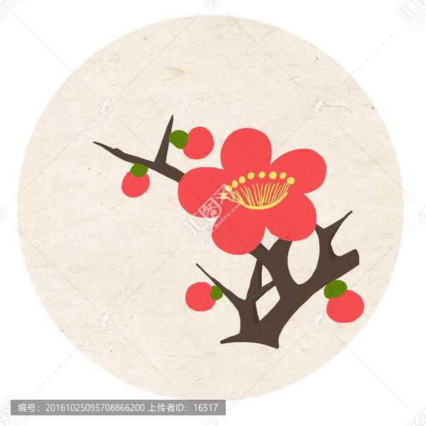 一枝梅,梅花