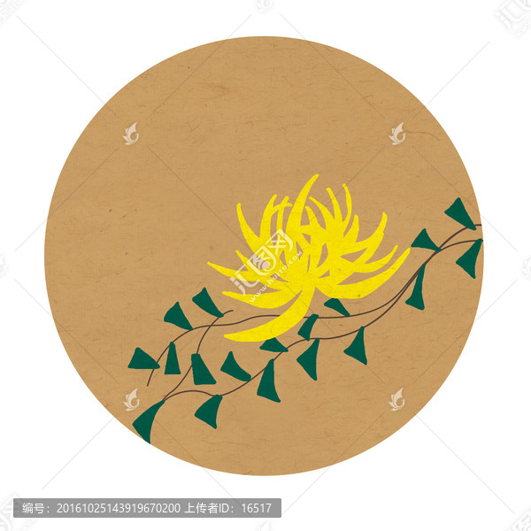 手繪菊花,菊