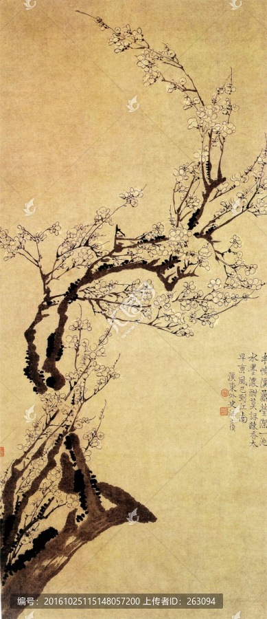 汪士慎,梅花圖