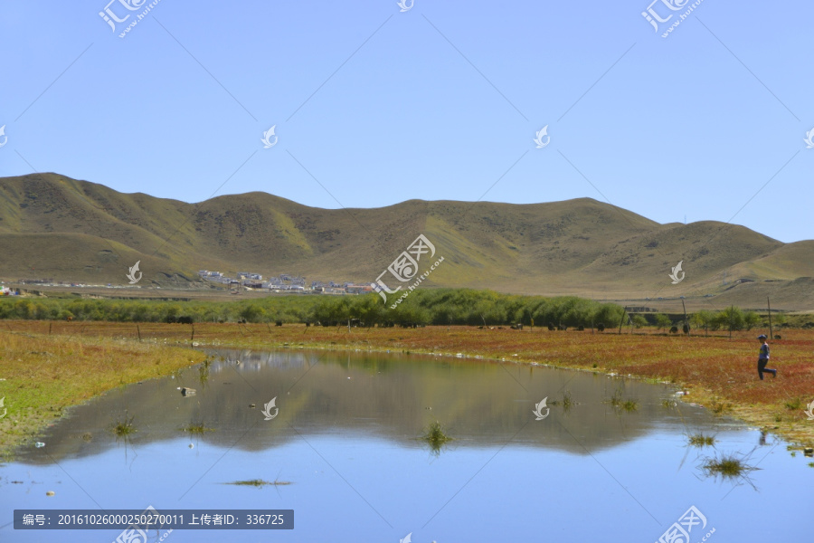 黄河第一湾河洲,草原牧场