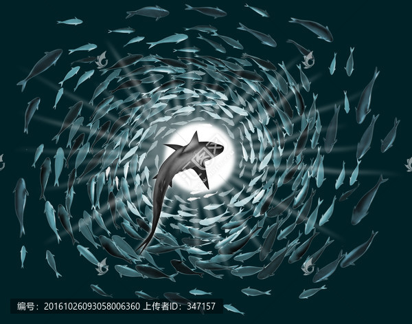 魚群圖