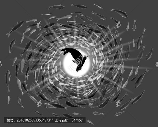 魚群圖