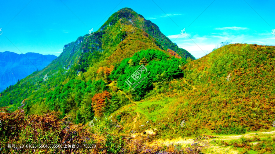 山峰,山地