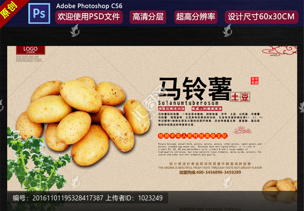 馬鈴薯圖片