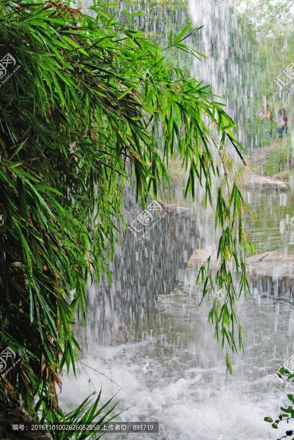 下雨天,竹叶