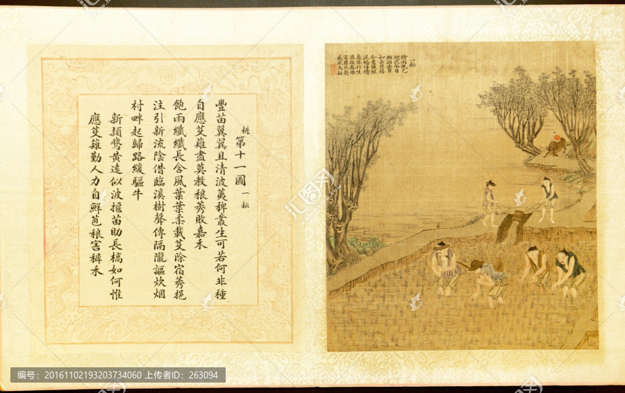 焦秉貞,耕織圖冊