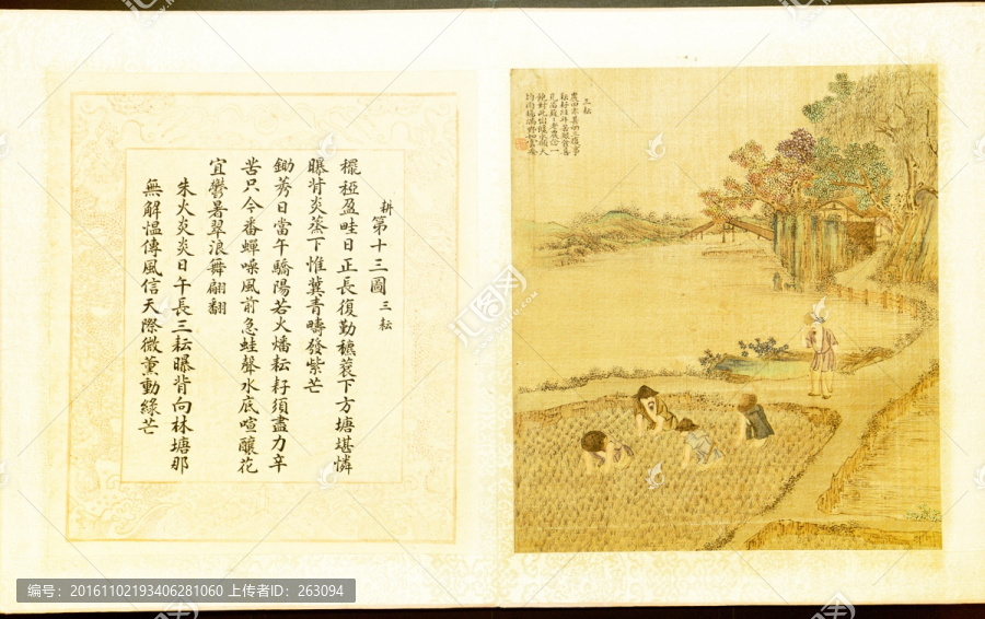 焦秉貞,耕織圖冊