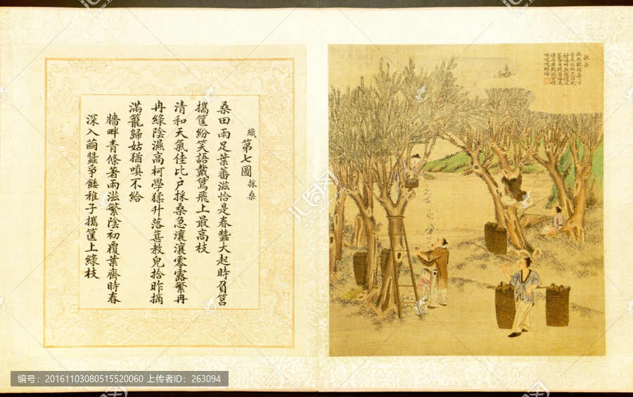 焦秉貞,耕織圖冊