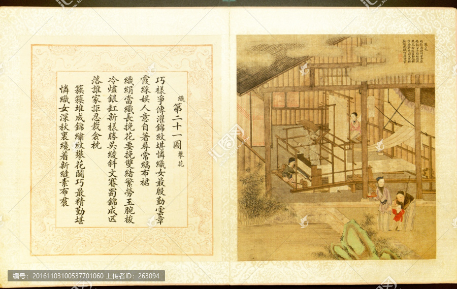 焦秉貞,耕織圖冊