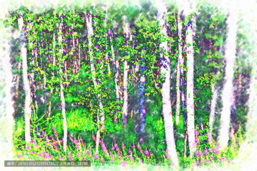 電腦畫,白樺林風(fēng)景