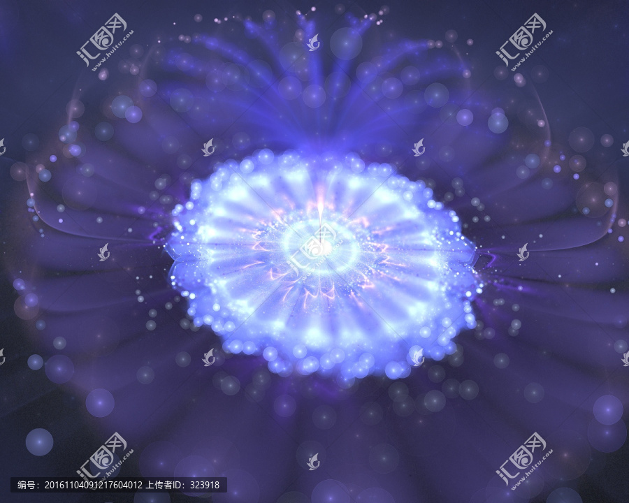 花朵,花卉數(shù)碼印花