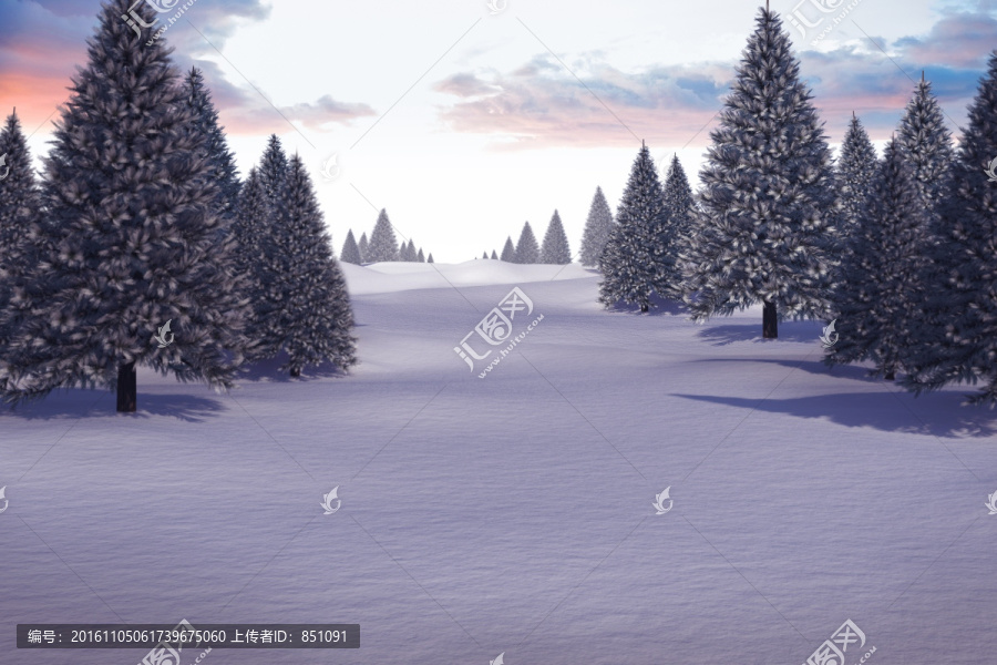 雪景觀和冷杉樹