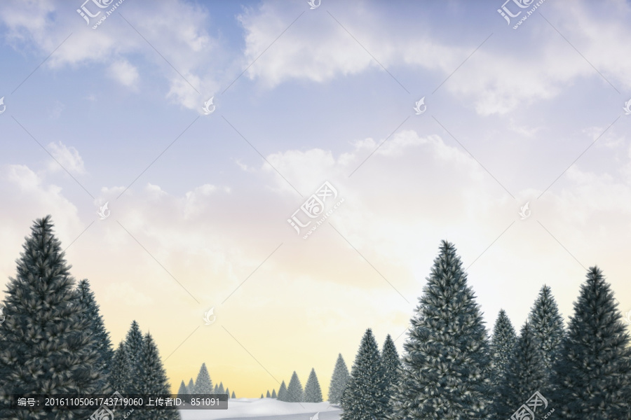 雪景觀和冷杉樹